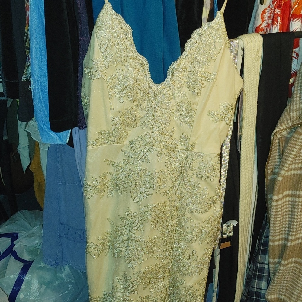 Windsor Gold Lace Dress